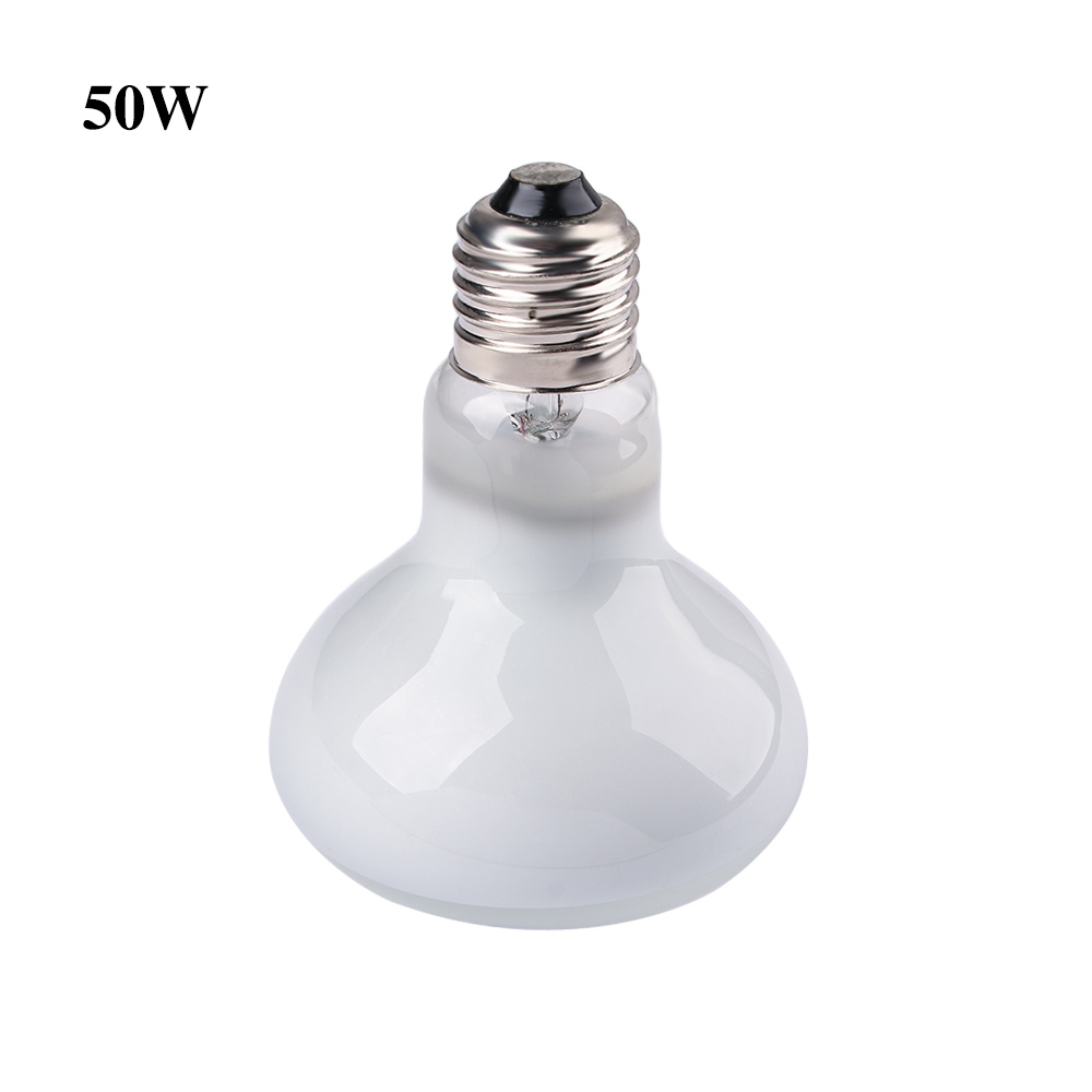 Basking Bulb Halogen - Controlador de temperatura para aquecedor de