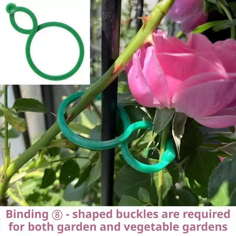 100 Clips de Suporte para Plan - Vine Climbing Plastic avaliação e preço