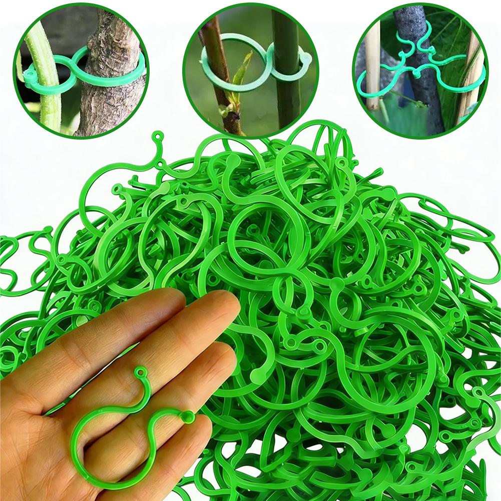 100 Clips de Suporte para Plan - Vine Climbing Plastic avaliação e preço