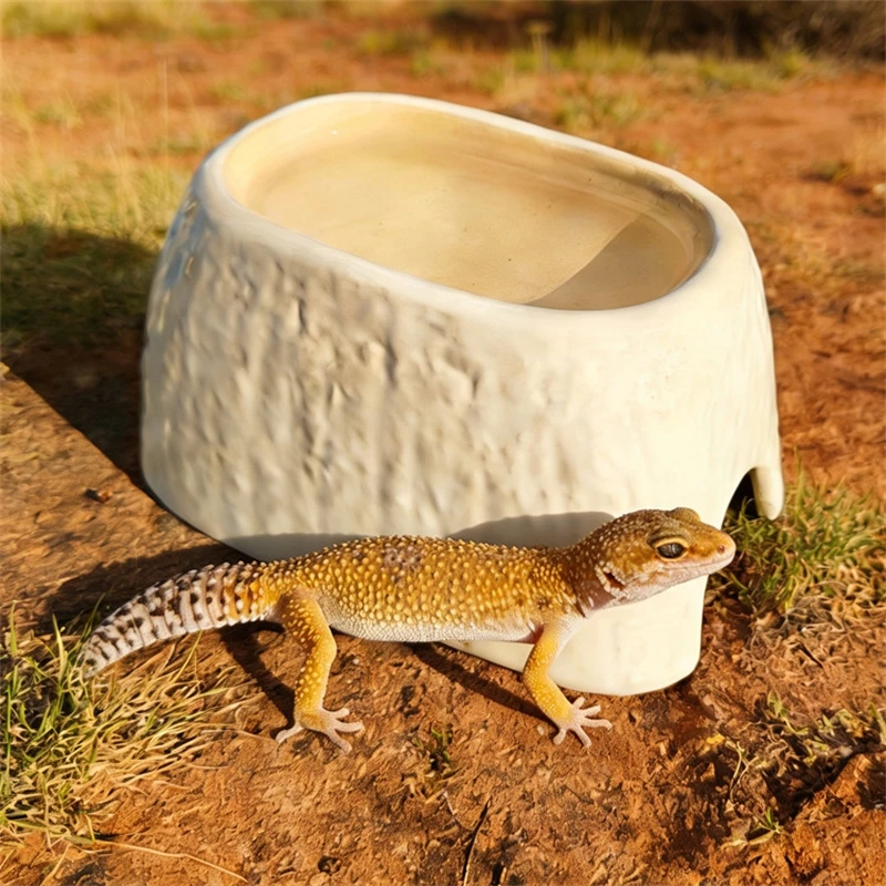 Caverna de Cerâmica com Estamp - Hide Cave Ceramic avaliação e preço